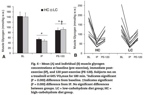 Vpliv glikogenskih rezerv na mišično rast